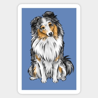 Shetland Sheepdog | Sheltie | Merle | Cute Dog Magnet